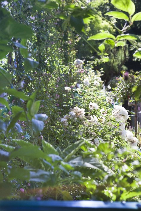 Fondation Claude Monet à Giverny et jardins