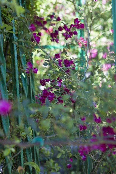 Fondation Claude Monet à Giverny et jardins