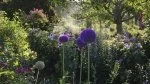 Fondation Claude Monet à Giverny et jardins