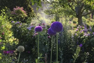 Fondation Claude Monet à Giverny et jardins