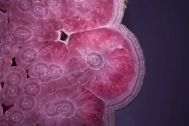 Galerie de minéralogie et de géologie au jardin des plantes