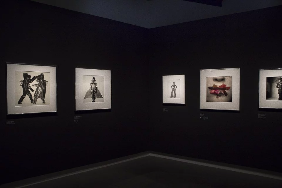 Irving Penn au Grand Palais à Paris, Exposition photos