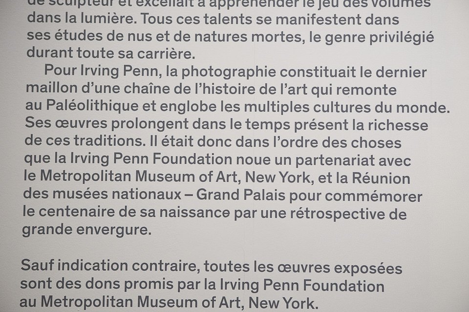 Irving Penn au Grand Palais à Paris, Exposition photos