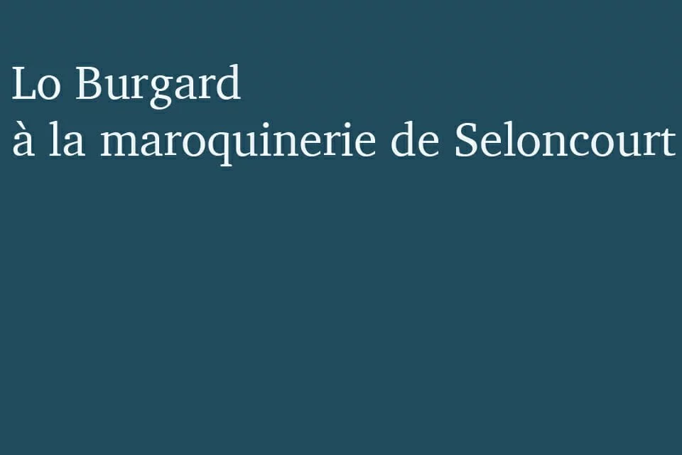 Lo Burgard , les mains sans sommeil, fondation Hermès, Palais de Tokyo