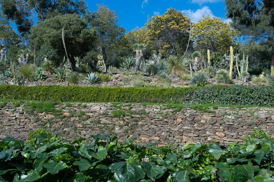 Domaine du Rayol - Le Jardin des Méditerranées