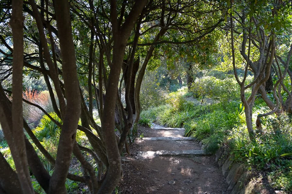 Domaine du Rayol - Le Jardin des Méditerranées