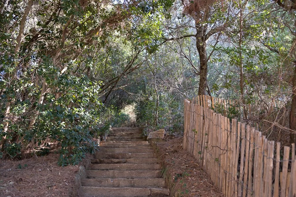 Domaine du Rayol - Le Jardin des Méditerranées