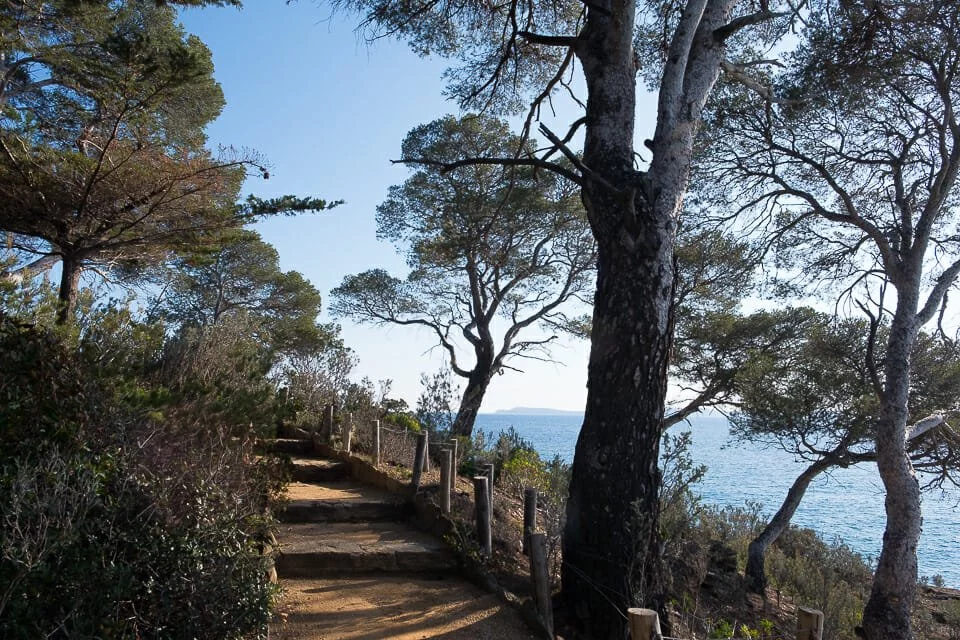 Domaine du Rayol - Le Jardin des Méditerranées