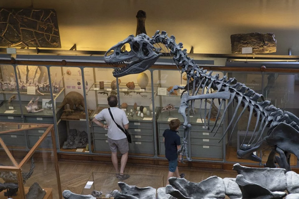 cette galerie du Muséum d'histoire naturelle à Paris.