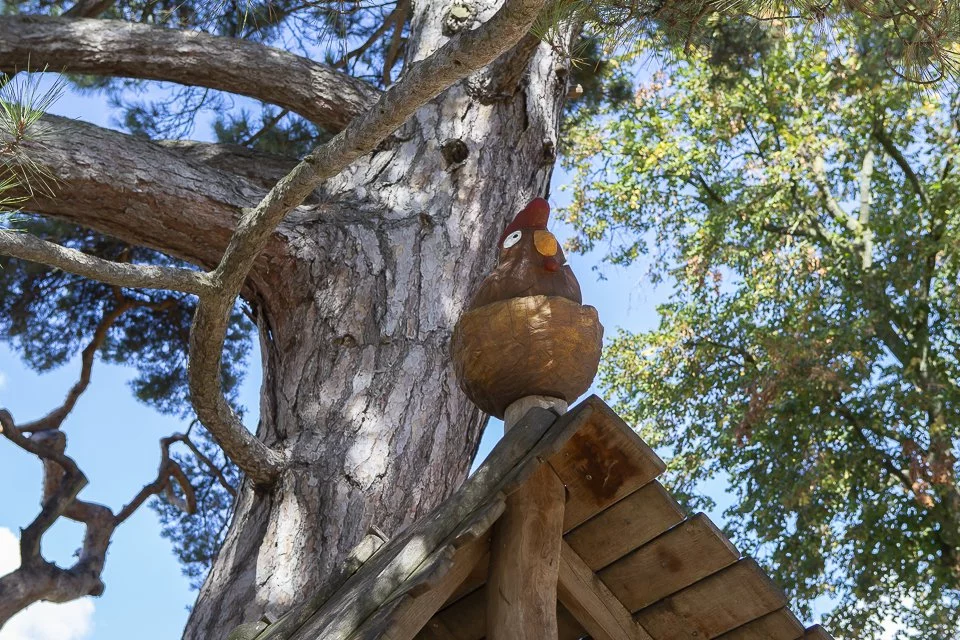 Jardin d'acclimatation LVMH