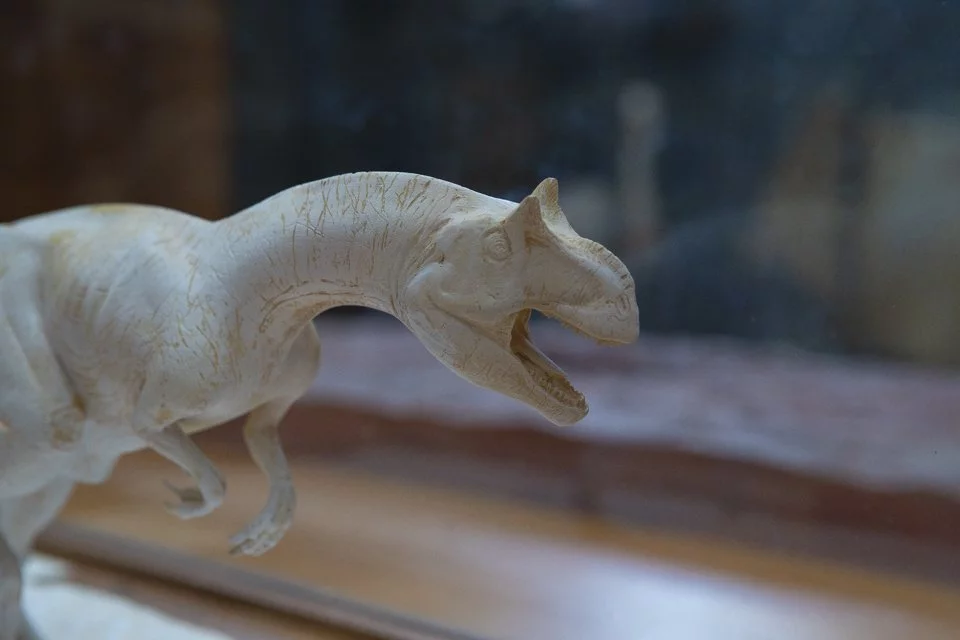 cette galerie du Muséum d'histoire naturelle à Paris.