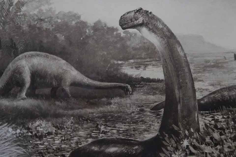 cette galerie du Muséum d'histoire naturelle à Paris.