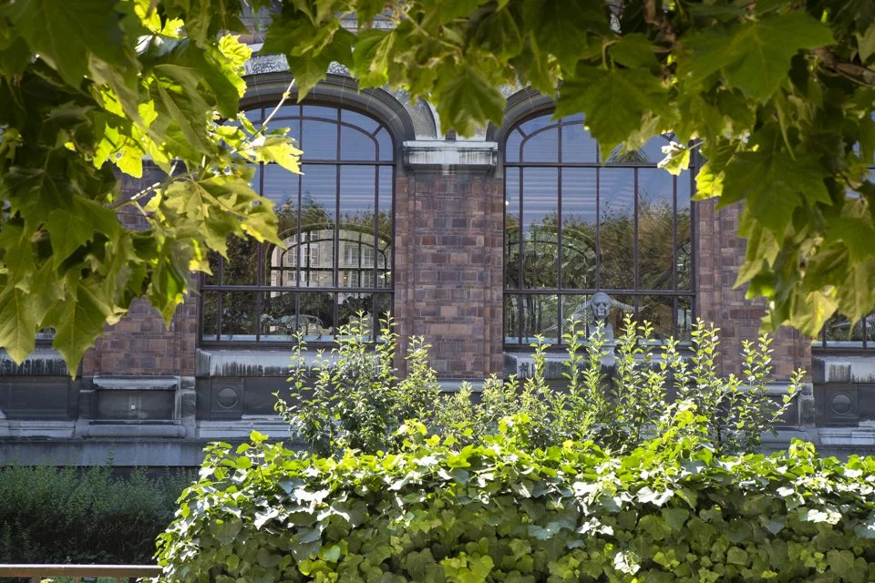 cette galerie du Muséum d'histoire naturelle à Paris.