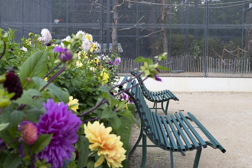 Jardin d'acclimatation LVMH