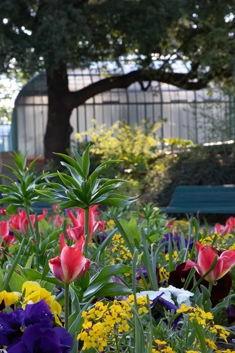 jardin-des-serres-d-auteuil-18