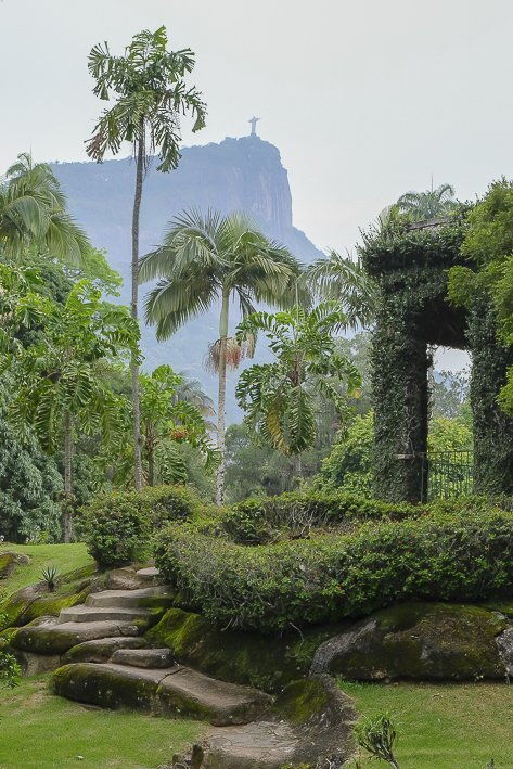 rio-jardin-botanique