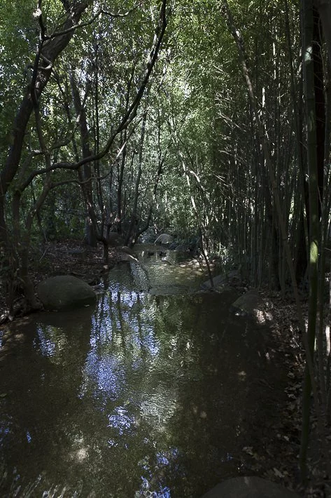 Musée Gulbenkian Lisbonne