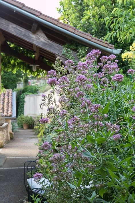 les-jardins-de-brantome-3834