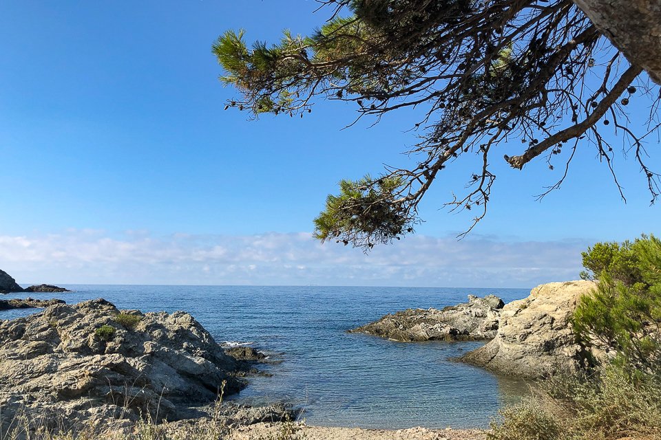 crique sous les pins
