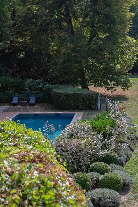 piscine dans un parc