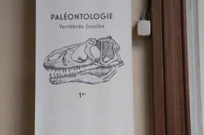 galerie de paléontologie à Paris galerie de paléontologie à Paris