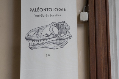 galerie de paléontologie à Paris