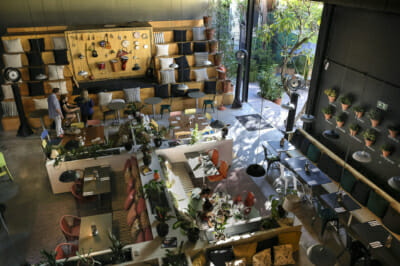 Mama Shelter Rio de Janeiro Santa Teresa, hotel Accor Mama Shelter Rio de Janeiro Santa Teresa, hotel Accor