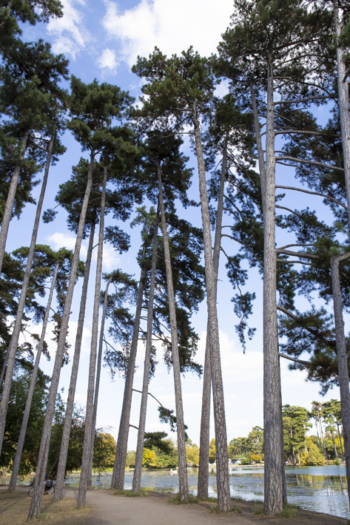 Barque lac bois de Boulogne Barque lac bois de Boulogne