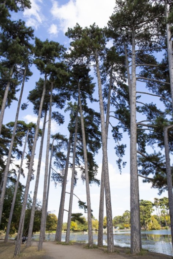 Barque lac bois de Boulogne Barque lac bois de Boulogne