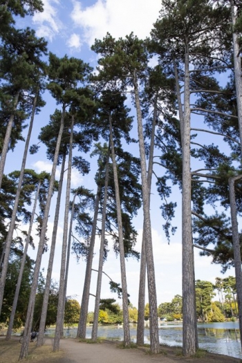 Barque lac bois de Boulogne